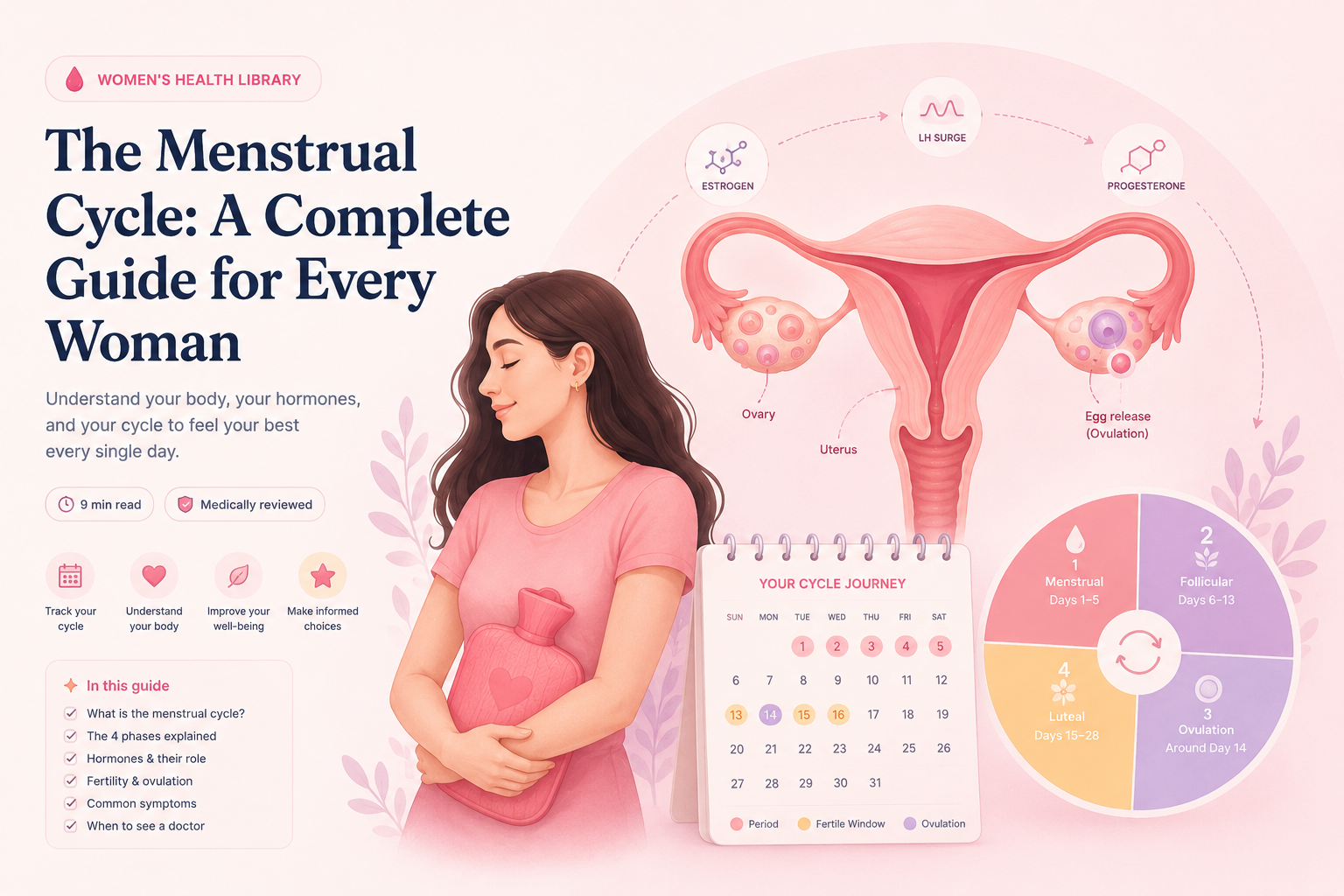 Illustration of the menstrual cycle — the four phases, hormone flow, and a 28-day cycle wheel