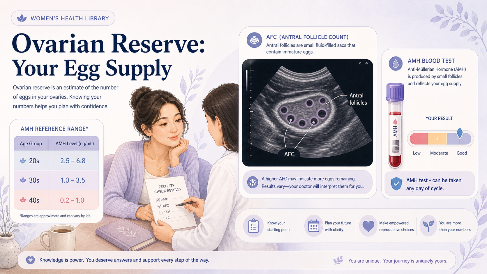 A calm, reassuring illustration about understanding ovarian reserve and AMH testing